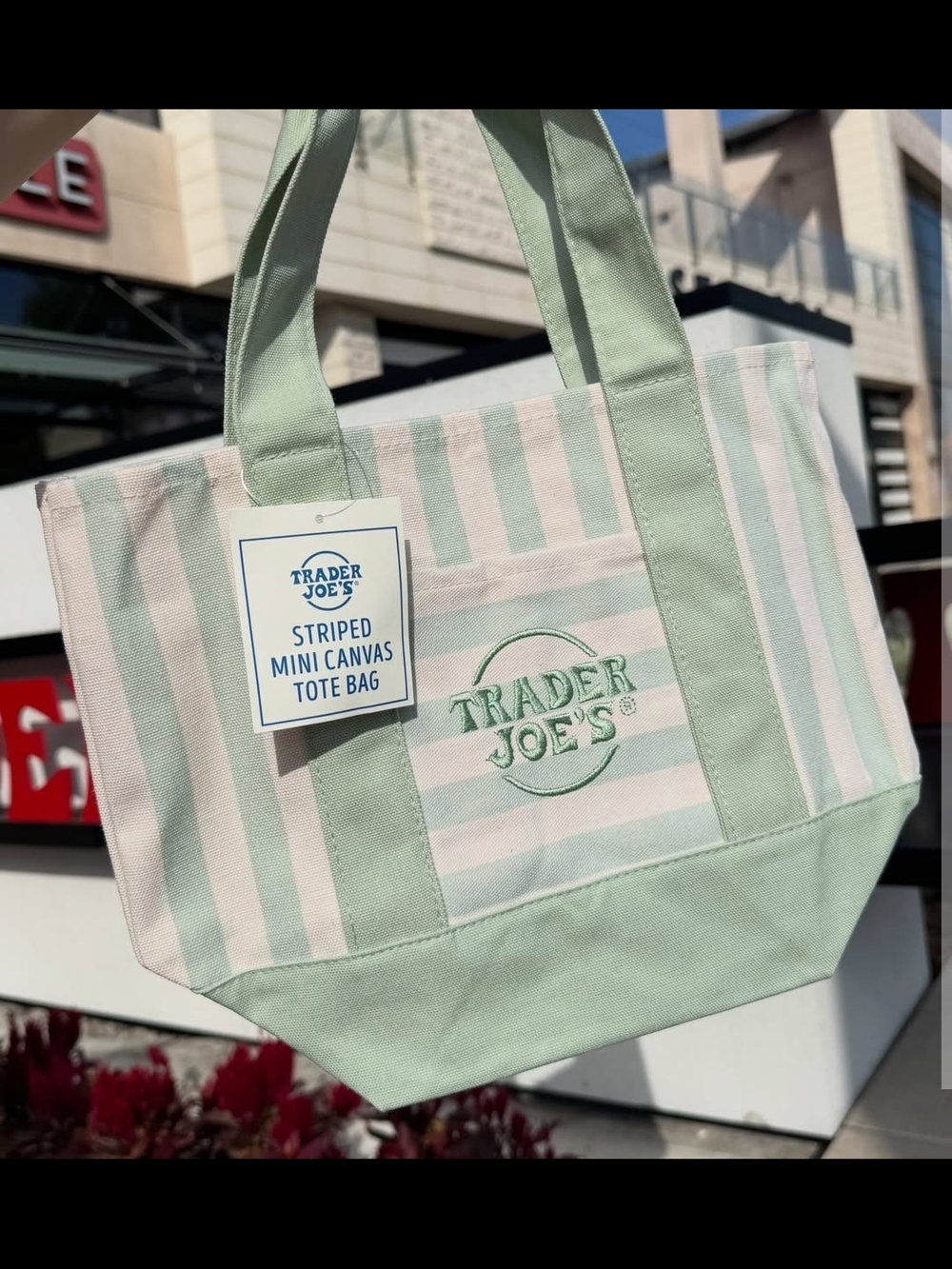 Trader Joe's Summer 2026 Mini Canvas Tote Bag